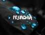 pr8insha