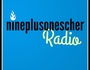 nineplusonescher
