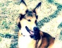 REX