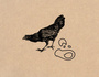 Bird Cavalla