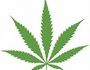 Smoke One