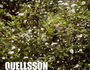 Quellsson
