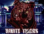 WhiteTigers