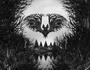 serum la morte