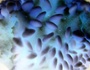 - DEEP FIELD EXPLORATION -
