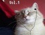 Tommybeats