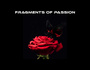 Fragments of Passion