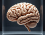 SuperBrain