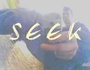 SeeK