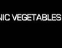 electro vegetables