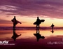 Sharksurf