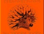 hedgehog:4