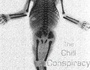 the chill conspiracy