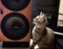 Animos Productions