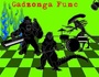 Gadzonga Func