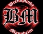 Brennpunkt Mannheim