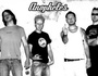 Anopheles