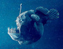 Electroe Bredefeld a.k.a. Melanocet