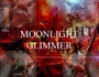 Moonlight Glimmer
