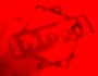zedblood