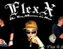 FlexX(StbFamily)