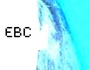 Electronic Body Confusion