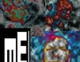 mE pSYCHEDELIC