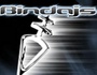 Bindajs