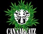 Cannabeatz Produktion