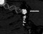 RFT-Junkie