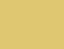 Silvereye