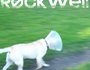 rockwell-Band
