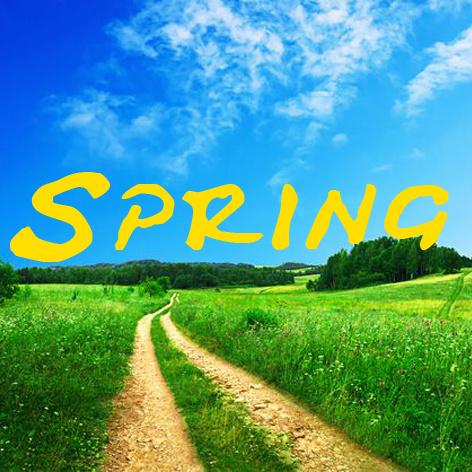 Massive Base - Spring