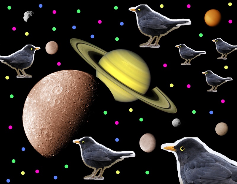 scattery - Cosmic Blackbirds