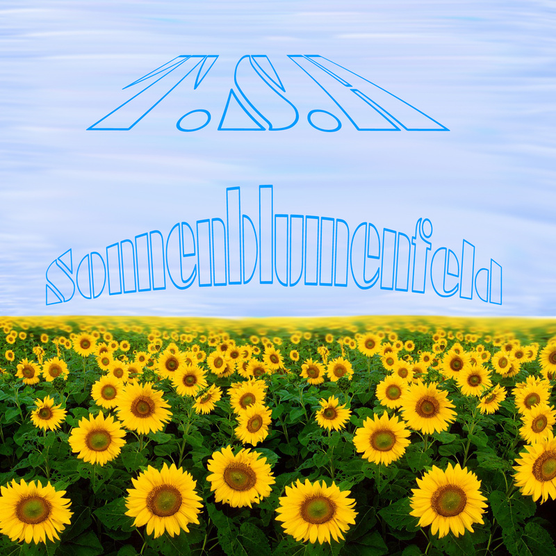 T.S.H. aka AC!D Tom - Sonnenblumenfeld