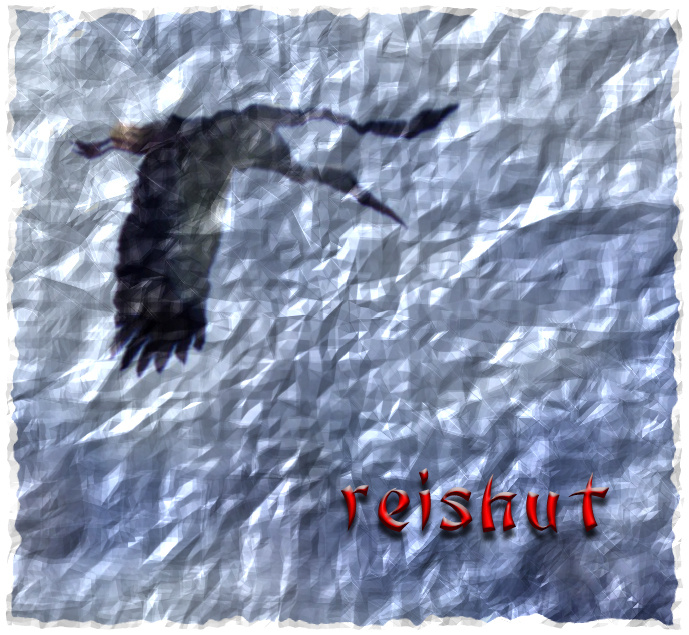 reishut - Perlenmix