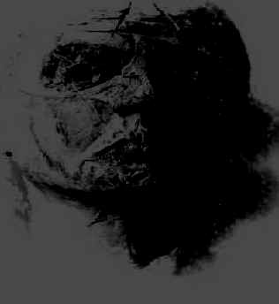 F.D.W. - coping with aggression