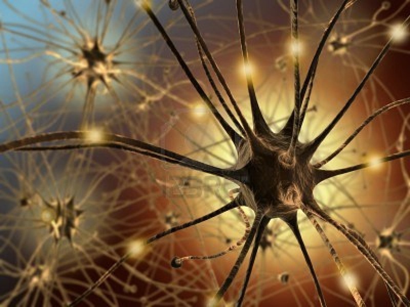 BrainOperatingSystem - Neuronensturm