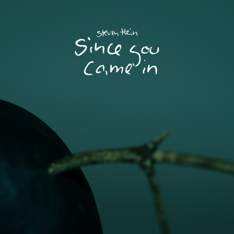 steven hein - Since You Came In