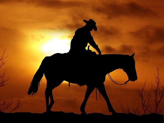Samaveda - Lonesome Cowboys
