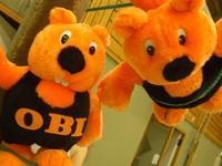 DeRoS - Obihörnchen vs Heckenschere
