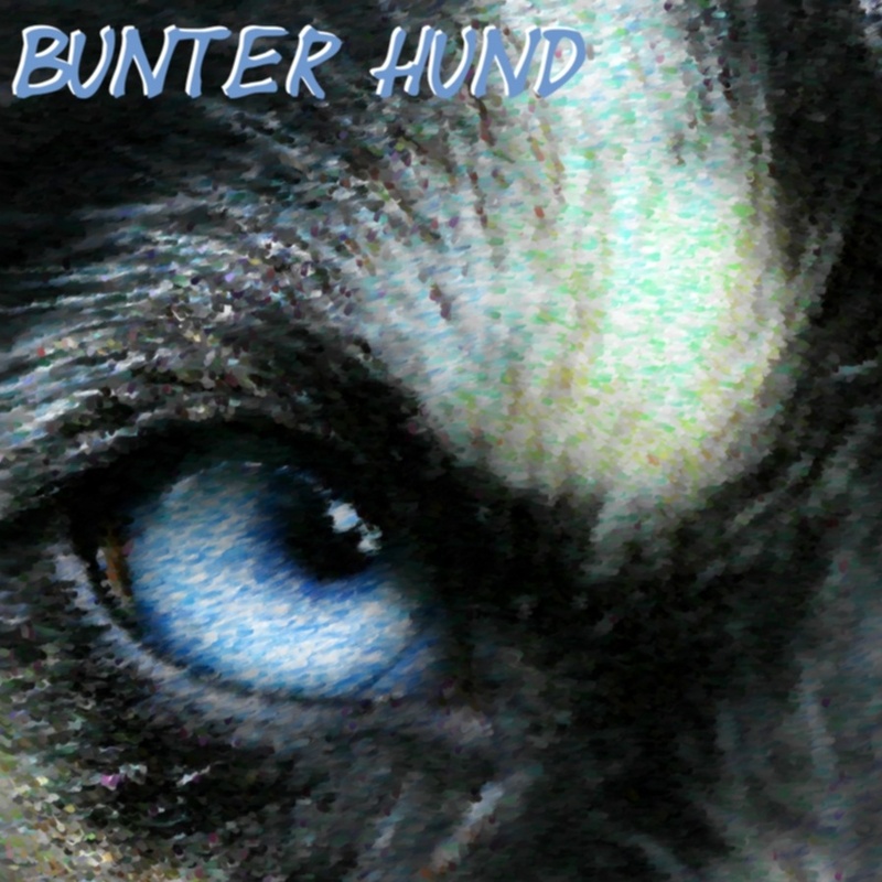 Bunter Hund - So weit, so gut
