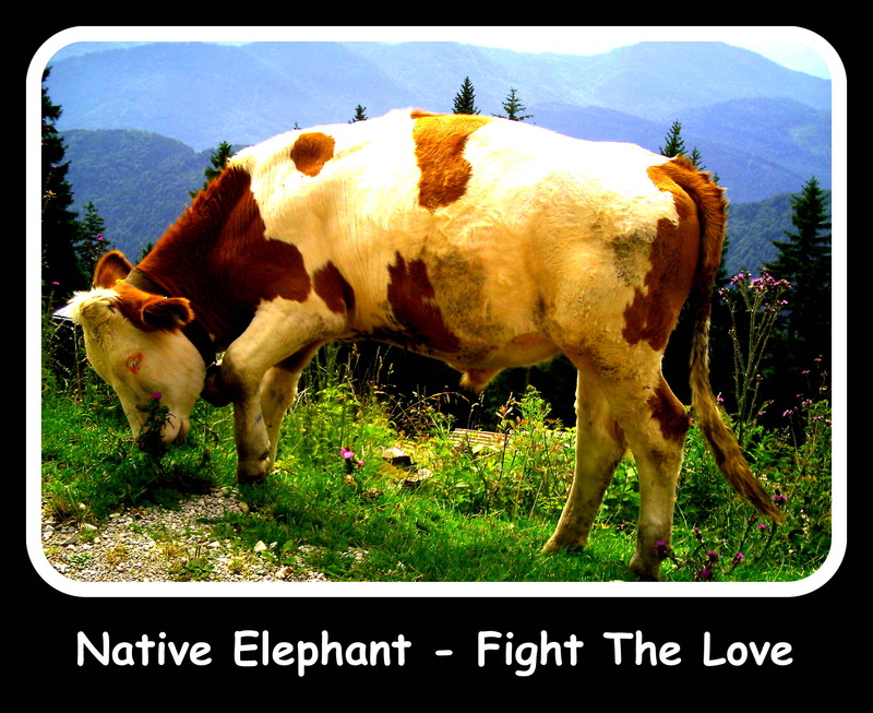 Native Elephant - Fight The Love