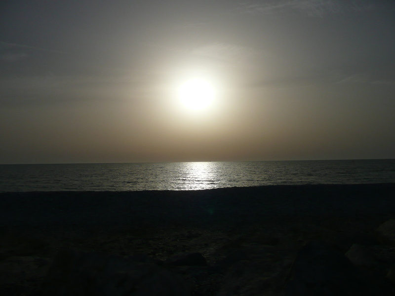 mikesch - a summer night´s dream