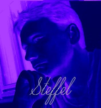 Steffel - System