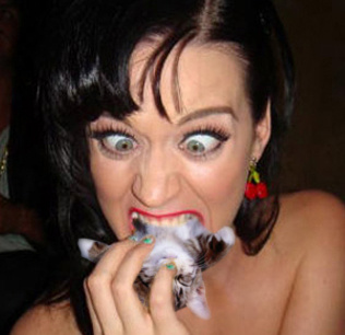 Stathi - Katy Perry