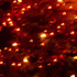 Abstrus Freecore - Symphonia India Absreeco