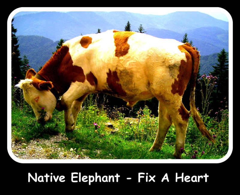 Native Elephant - Fix A Heart [Set Mix]