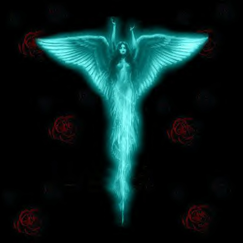 Hear but Listen! - Angel of the Night