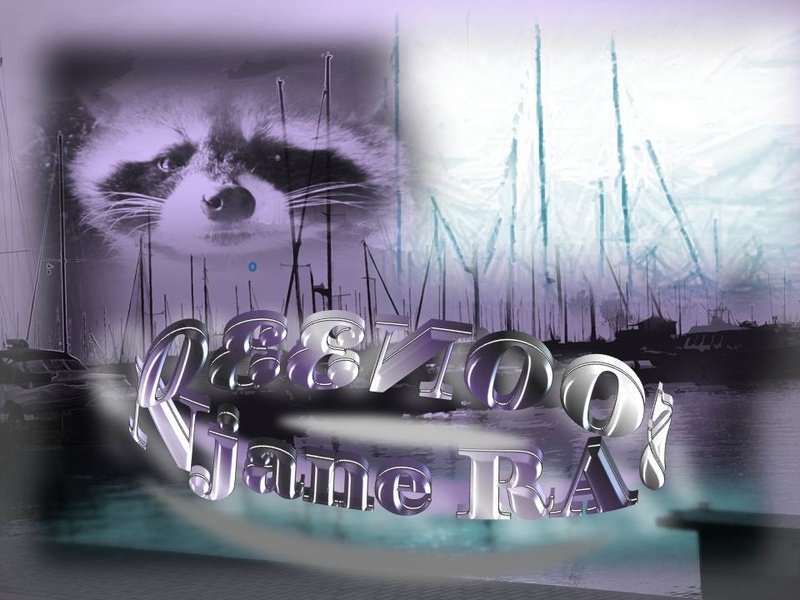 Njane racoon330 - >>Dreaming<<